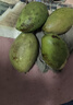 甜萌果蔬金煌芒芒果【多地次日達】當季現摘海南大芒果新鮮水果青芒果整箱 3斤商超果【單果220g+】?jì)?.5斤 曬單實(shí)拍圖