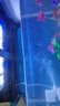 魚(yú)缸燈led燈防水超亮全光譜三色小水族箱潛水專(zhuān)用彩燈燈管 9W藍白不變光44cm（50-60cm缸用） 曬單實(shí)拍圖