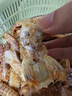 皮皮蝦肥鮮活熟凍蝦爬子琵琶蝦生鮮海鮮解饞鮮嫩深海海鮮 皮皮蝦(中公)質(zhì)飽滿(mǎn)產(chǎn)地直發(fā)(中公) 3斤(凈重)  熱銷(xiāo)品 曬單實(shí)拍圖