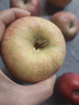 京喜加阿克蘇冰糖心蘋(píng)果 精品大果 脆甜無(wú)渣 產(chǎn)地直發(fā)新鮮蘋(píng)果水果 【帶箱9斤】70-80mm【實(shí)惠爽口】 曬單實(shí)拍圖