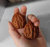 戚小米文玩核桃小手捻秋子女小手把件迷你核桃文玩把玩指間文玩男士手玩 小秋子【一對】 曬單實(shí)拍圖
