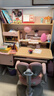 龍承匠人兒童學(xué)習桌椅套裝J120實(shí)木可升降寫(xiě)字書(shū)桌中小學(xué)生6-18歲課桌椅子 1.2米實(shí)木+光譜大路燈+追背椅粉 贈學(xué)習大禮包 曬單實(shí)拍圖