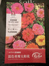 壽禾 重瓣太陽(yáng)花種子苗混色大花四季播花種籽 重瓣太陽(yáng)花種子約8000粒 曬單實(shí)拍圖