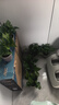 雙盟 綠蘿盆栽除甲醛花卉綠植辦公室新房?jì)艋諝?10款10盆裝源頭直發(fā) 曬單實(shí)拍圖