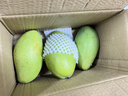 【爆甜】正宗越南金煌芒特大芒果甜心芒水仙芒大青芒應季新鮮水果 大果 2斤帶箱單果200g起(3-5個(gè)) 曬單實(shí)拍圖