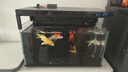 畫(huà)法幾何魚(yú)缸增氧泵養魚(yú)氧氣泵小米米家智能魚(yú)缸專(zhuān)用 米家魚(yú)缸專(zhuān)用增氧泵【贈全套配件】 曬單實(shí)拍圖