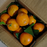 正宗廣西砂糖橘沙糖桔新鮮水果當季蜜桔桂林橘子貢柑整箱 帶箱1斤 小果（30-40mm） 曬單實(shí)拍圖