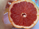 埃及進(jìn)口紅心西柚新鮮水果蜜柚當季葡萄柚子孕婦紅肉整箱包郵大果 紅西柚特大果300g 4粒 曬單實(shí)拍圖