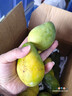 海南小臺農芒芒果新鮮當季水果熱帶芒果現摘特產(chǎn)整箱批發(fā) 小臺芒凈重4.5-5斤單果100g+ 曬單實(shí)拍圖