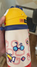 babycare兒童水杯6個(gè)月以上寶寶霸王龍不銹鋼保溫杯上學(xué)450ml-新舊款混發(fā) 曬單實(shí)拍圖