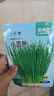 菜禾地 小香蔥種子苗四季陽(yáng)臺盆栽庭院種植蔬菜種籽 小香蔥種子約1500粒 曬單實(shí)拍圖