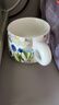 CLITON咖啡杯碟套裝鳶尾花馬克杯高顏值陶瓷杯辦公室杯碟牛奶杯下午茶杯 曬單實(shí)拍圖