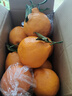 京鮮生 四川春見(jiàn)耙耙柑 凈重4.5-5斤水果禮盒 單果170g+ 源頭直發(fā)包郵 曬單實(shí)拍圖