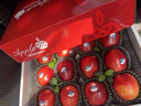田果匠【順豐鎖鮮】新西蘭紅玫瑰蘋(píng)果新鮮水果當季脆甜皇后蘋(píng)果禮盒包裝 12個(gè)禮盒（單果150-170g） 曬單實(shí)拍圖