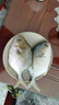 特大號金鯧魚(yú)新鮮活冷凍金昌魚(yú)深海鯧魚(yú)平魚(yú)海鮮水產(chǎn)魚(yú)類(lèi)批發(fā)凈重 新鮮大號金鯧魚(yú)發(fā)2條【肉質(zhì)鮮嫩】每條450克左右 曬單實(shí)拍圖