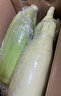 佳農寶菜山東新鮮水果玉米帶綠皮單根200g+凈重4.6斤4-7根源頭直發(fā) 曬單實(shí)拍圖