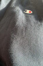 Champion冠軍衛衣男經(jīng)典刺繡小C圓領(lǐng)上衣女潮牌復古 黑色   3XL    曬單實(shí)拍圖