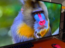 微星26.5英寸 4K240Hz QD OLED顯示器 滿(mǎn)血DP2.1游戲電競電腦顯示屏 0.03ms GTG 出廠(chǎng)校色 TYPE-C 98W MPG 272URX QD-OLED 曬單實(shí)拍圖
