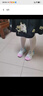 里奇.喬丹   RICKY JORDAN女童鞋小白鞋2026春季新款網(wǎng)面透氣防滑休閑學(xué)生跑步運動(dòng)童鞋女孩 S-525粉色-單網(wǎng)夏季款-防滑透氣-送運費險 26 曬單實(shí)拍圖