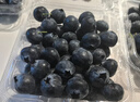 京鮮生 云南藍莓 4盒大果18mm+ 125g/盒 生鮮水果 源頭直發(fā) 曬單實(shí)拍圖