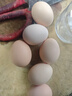 鄉樸黑吉【生鮮嚴選】農家散養無(wú)抗無(wú)菌可生食鮮雞蛋 30枚 曬單實(shí)拍圖