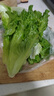 富硒生菜苗200g(長(cháng)度≤15cm) 曬單實(shí)拍圖