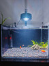 YEE魚(yú)缸燈水草燈原生溪流爆藻燈led筒燈 95RA高顯指 55W魚(yú)缸燈【95RA高顯指   配支架】 曬單實(shí)拍圖