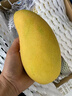 壹萌果蔬金煌芒芒果 當季現摘廣西大芒果新鮮水果水仙青芒果整箱送禮 5斤精品果【單果200g+】 凈4.5斤 曬單實(shí)拍圖