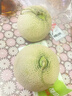 京鮮生海南網(wǎng)紋瓜 凈重4-5斤 2粒網(wǎng)紋蜜瓜 生鮮水果 源頭直發(fā)包郵 曬單實(shí)拍圖