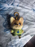 迪士尼（Disney）瘋狂動(dòng)物城尼克萌糖掛件毛絨玩偶公仔鑰匙扣送閨蜜朋友節日禮物女 曬單實(shí)拍圖