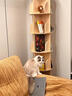 實(shí)木旋轉書(shū)架360度一體靠墻可移動(dòng)轉拐角書(shū)柜臥室床頭落地置物架 五層1.6m高_原木色_免漆松木 曬單實(shí)拍圖
