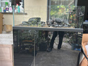 森森（SUNSUN）原生態(tài)溪流缸魚(yú)缸造景家用原生缸客廳超白玻璃底濾魚(yú)缸包安裝 靜謐黑-專(zhuān)業(yè)款 升級底濾（雙重滴濾盒） 1.2米長(cháng)47.6cm寬40cm缸高+85cm柜高 曬單實(shí)拍圖