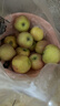 新疆阿克蘇冰糖心蘋(píng)果新鮮水果整箱禮盒丑蘋(píng)果新疆直采70-85mm 帶箱10斤凈重8.8斤大果80-85mm 曬單實(shí)拍圖