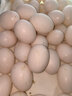 正宗農家新鮮鴿子蛋現撿現發(fā)孕婦寶寶輔食 農家谷飼?shū)澴拥啊?0枚】 曬單實(shí)拍圖
