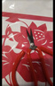 明拾尖頭剪刀剪紙工具全套專(zhuān)業(yè)學(xué)生剪紙社團活動(dòng)手工剪紙窗花刻刀紅紙 【A4/尖頭剪】馬年剪紙工具入門(mén)款 曬單實(shí)拍圖