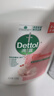滴露（Dettol）洗手液抑菌殺菌消毒 滋潤450g*2+松木450g*2兒童家庭補充裝溫和 曬單實(shí)拍圖
