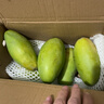 京鮮生新鮮玉芒  凈重4.5斤 單果200g＋ 新鮮芒果 源頭直發(fā)包郵 曬單實(shí)拍圖