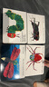 Eric Carle好餓的毛毛蟲(chóng)4冊 the very busy spider/Quiet Cricket/lonely firefly 英文原版繪本好忙的蜘蛛紙板廖彩杏書(shū)單卡爾爺爺 曬單實(shí)拍圖