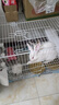 憨憨寵兔子籠 兔籠加粗加密家用兔子專(zhuān)用籠子可折疊兔籠子特大號養殖籠 700# 白色可折疊加密雙層兔子籠 曬單實(shí)拍圖
