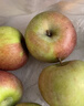 京地達遼寧國光蘋(píng)果 果光蘋(píng)果酸甜小蘋(píng)果 凈重5斤16個(gè)左右源頭直發(fā)包郵 曬單實(shí)拍圖
