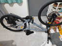 喜德盛（xds）山地自行車(chē)26款旭日310運動(dòng)健身學(xué)生青少年成人騎行變速輕便單車(chē) 26款旭日310巖石灰15.5寸 曬單實(shí)拍圖
