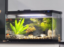 米家小米米家智能生態(tài)魚(yú)缸還原自然生態(tài)補倉一次三月無(wú)憂(yōu)出差旅行必備 曬單實(shí)拍圖