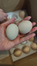 京喜加富硒鮮雞蛋30枚單枚50g左右產(chǎn)地直發(fā)（新老包裝混發(fā)） 品質(zhì)鮮蛋 【富硒鮮蛋】30枚 曬單實(shí)拍圖
