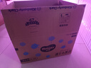 好奇（Huggies）金裝拉拉褲XL96片(12-17kg)尿不濕【速干不易紅】 曬單實(shí)拍圖