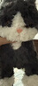 babycare電動(dòng)毛絨玩具德文貓咪兒童周歲玩偶新年禮物送女生生日禮物周歲禮 【鎮店爆款】電動(dòng)貓咪-德文貓卷卷 電動(dòng)毛絨玩偶 曬單實(shí)拍圖