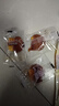三只松鼠梅有芒果100g青梅芒果干果脯無(wú)核酸甜可口蜜餞梅子酸甜兒童零食 曬單實(shí)拍圖