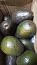 山姆大叔 金獎·哈斯牛油果【閃送】智利鱷梨非即食新鮮牛油果水果禮盒裝 【鼻祖級】巨無(wú)霸丨約150-180g 10枚【全家分享-蕞劃算】普裝 曬單實(shí)拍圖