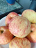 趣嘗鮮新疆阿克蘇冰糖心蘋(píng)果凈重5斤單果75-80mm一級1號會(huì )員店源頭直發(fā) 曬單實(shí)拍圖
