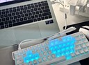 邁從（MCHOSE）Ace 68 V2磁軸鍵盤(pán) RT電競游戲客制化機械有線(xiàn)連接68鍵配列全鍵熱插拔雙驅動(dòng)無(wú)畏契約 Ace 68 電競版 白色 藍冰磁軸 曬單實(shí)拍圖