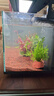 瘋狂水草（FKSC）真水草魚(yú)缸造景套餐凈化水質(zhì)懶人魚(yú)缸水草植物直接入缸蜈蚣草 【賽級精品】專(zhuān)業(yè)搭配適合20-30缸 曬單實(shí)拍圖